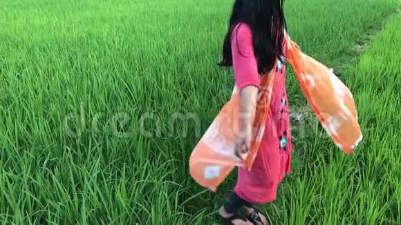 年轻女孩在绿色的田野里走来走去视频的预览图