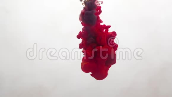 墨汁输液覆盖物红色液体运动白色视频的预览图