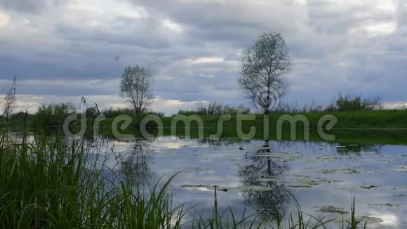 乡村田野静静地守护着可爱的自然大湖晚上有很多云视频的预览图