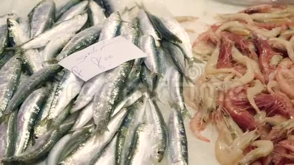 地中海市场柜台新鲜鱼和碎冰中的各种虾视频的预览图