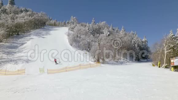 滑雪者用雪覆盖的树木在斜坡上视频的预览图