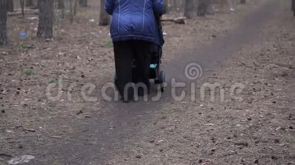 祖母和她的孙子或孙女在森林里走得很远带婴儿车的老年妇女视频的预览图
