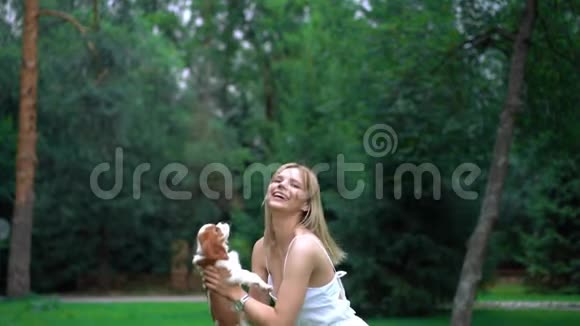 年轻漂亮的女人和公鸡斯帕尼尔狗跳在一起公园户外活动飞毛头发视频的预览图