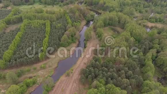 绿色森林中蜿蜒河流的空中景观无人机俯视图视频的预览图