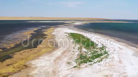飞行中的海鸥盐湖上面异常的风景俄罗斯的野生动物视频的预览图