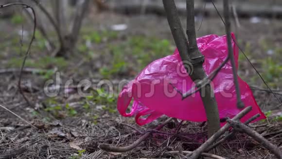 在森林里地面上的玻璃纸袋环境污染的概念视频的预览图