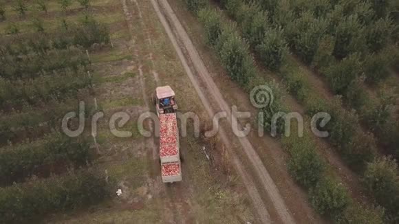 一辆装满苹果拖车的拖拉机视频的预览图