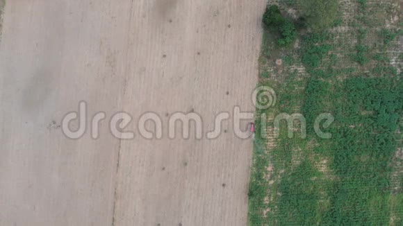 无人机拍摄乡村农业农场的鸟瞰风景视频的预览图