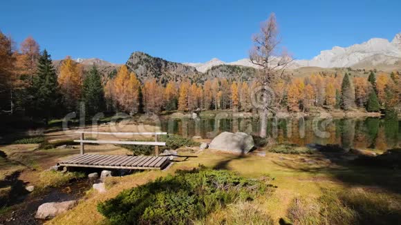 秋湖附近的圣佩莱格里诺帕斯特伦蒂诺多洛米斯阿尔卑斯山意大利视频的预览图
