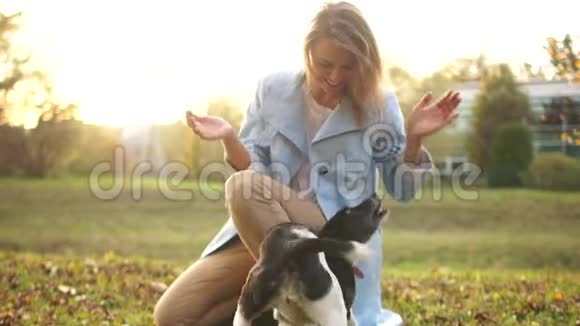可爱的穿着蓝色斗篷的年轻女人正在公园里和她的黑白狗玩秋天和宠物散步视频的预览图