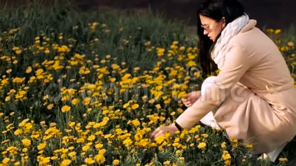 一个女孩带着黄色的蒲公英走过田野蹲着收集蒲公英特写视频的预览图