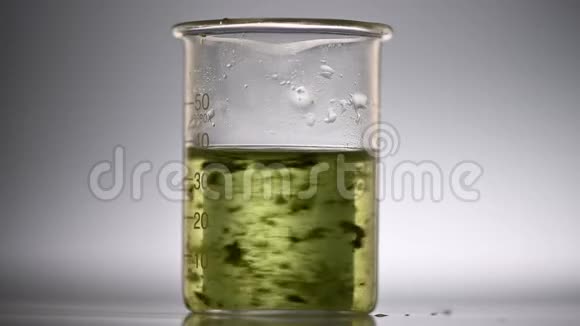藻类生物燃料研究生物替代能源玻璃器皿中的藻类测试藻类生物燃料研究生物替代能源视频的预览图
