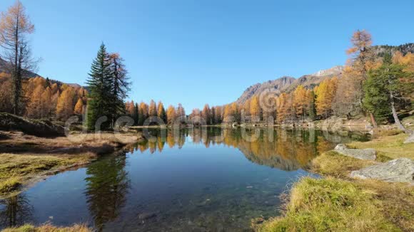 秋湖附近的圣佩莱格里诺帕斯特伦蒂诺多洛米斯阿尔卑斯山意大利视频的预览图