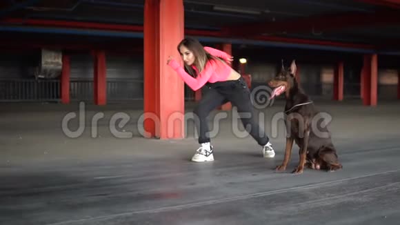 这个女孩在蒸馏过程中和狗种德伯曼一起跑视频的预览图