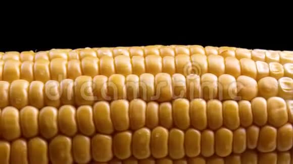 新鲜的玉米在黑色的背景上视频的预览图