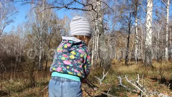 小女孩在秋天的森林里收集干燥的树枝视频的预览图