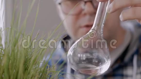 一位男子科学家的特写镜头他看着一个玻璃瓶里的东西里面放着一种清澈的液体旁边是生长着的绿草视频的预览图