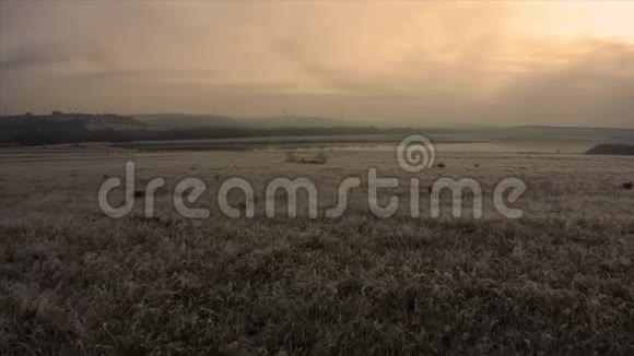 美丽的金色日出空中镜头在一片带湖的田野上覆盖着霜草视频的预览图