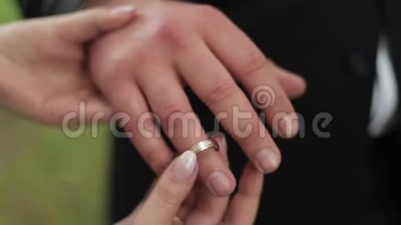 男人和女人的手亲密的情侣手视频的预览图