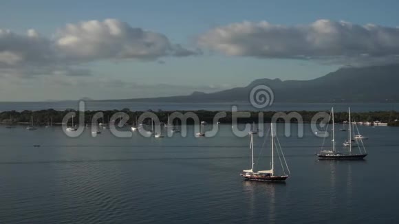 在一个美丽的皮特角湾许多帆船的背景是山瓜德罗普岛视频的预览图