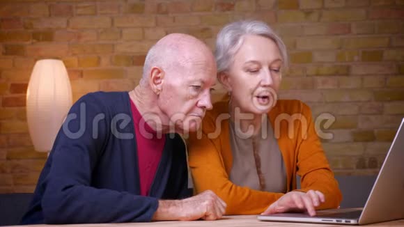 两位进步的白发白种人高级配偶观看笔记本电脑并在办公室讨论视频的预览图