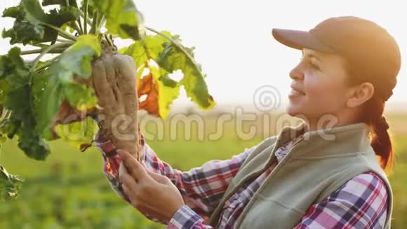 一位持有成熟甜菜的女农民视频的预览图