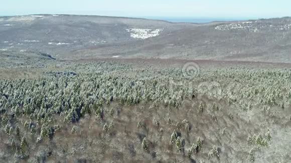 霜和太阳美好的一天冬天在俄罗斯雪山森林鸟瞰视频的预览图