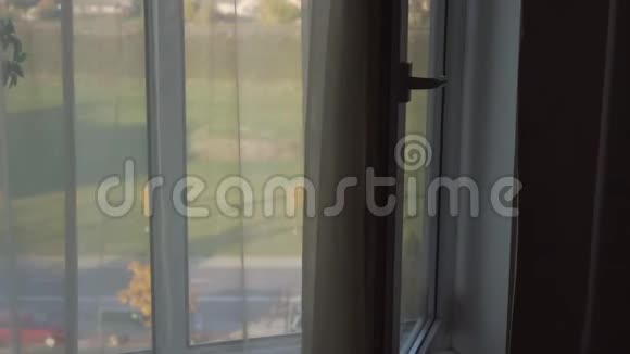 汽车从窗外透过窗帘沿着道路行驶视频的预览图