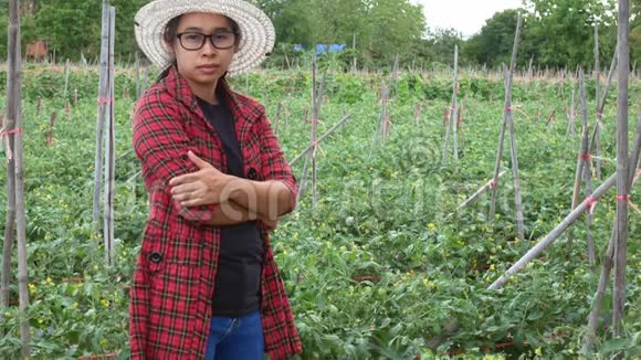 亚洲园丁女人举起手臂在农田里看到了成功的样子微笑着对着镜头农业和种植科视频的预览图