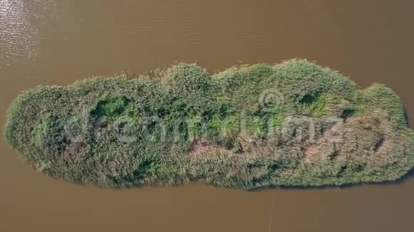 绿岛由芦苇在肮脏的棕色河流中制成空中照片顶部视图视频的预览图