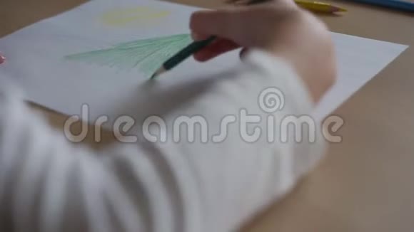 穿白衬衫的女孩准确地画出了绿松树的特写视频的预览图