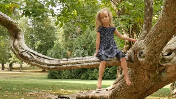 夏天可爱的小女孩蓝眼睛金发赤脚坐在公园的树枝上视频的预览图
