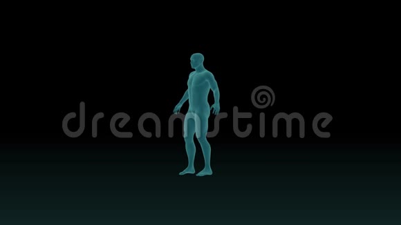 解剖精确的人体三维动画x线扫描可见胃三维渲染视频的预览图