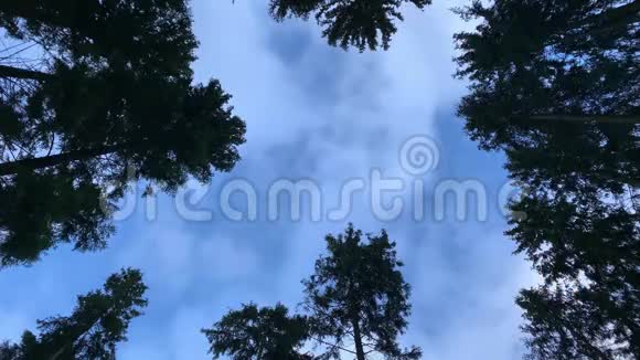 云彩飘过蓝天飘过高高的枞树万向节安定蓝天视频的预览图