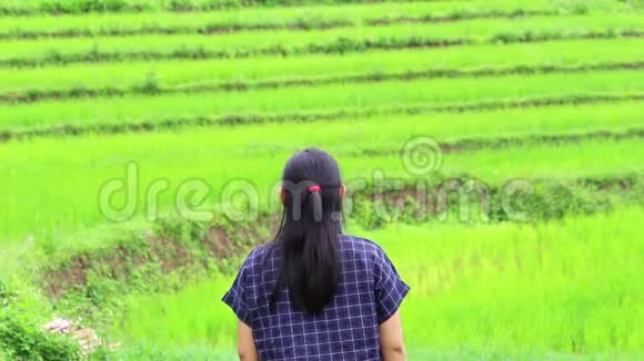 亚洲农民妇女微笑和触摸眼镜与自豪的外观稻田背景视频的预览图