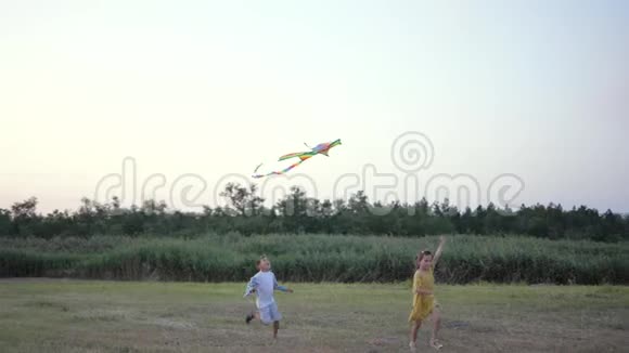风筝游戏户外活动可爱开朗的小朋友朋友在芦苇和蓝天的背景下清理视频的预览图