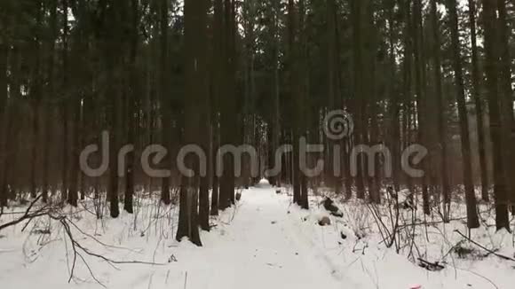 我在冬天的森林里沿着森林雪道慢慢地走着下雪了俄罗斯的冬天万向节安定运动视频的预览图