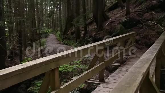 一位年轻女子慢跑成架停在常绿森林的木桥上伸展身体然后跑开视频的预览图