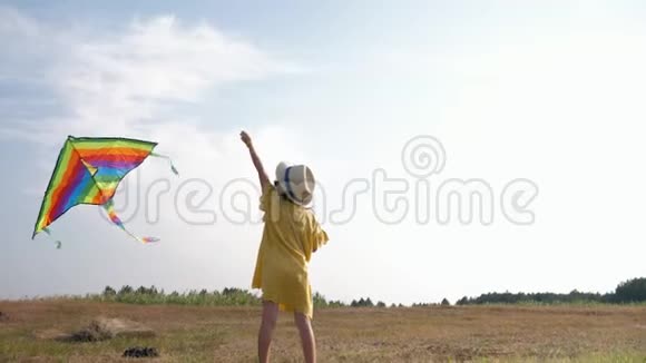 快乐的时光美丽的小女孩在夏天的周末在森林里和蓝天一起玩风筝视频的预览图