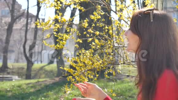 春天阳光明媚的日子里公园里的家庭肖像年轻的母亲从她的小女儿那里收到一束五颜六色的花视频的预览图