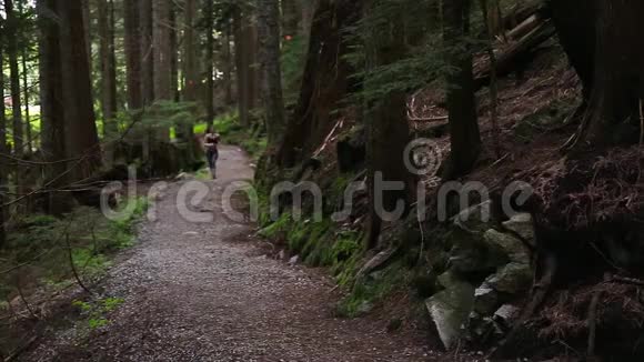 一名穿着运动服的白种人年轻女子在一条常绿森林小路上慢跑的照片视频的预览图