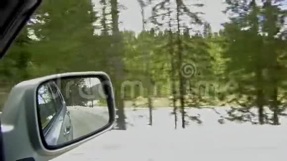 驾驶越野车行驶在森林土路上镜景视频的预览图