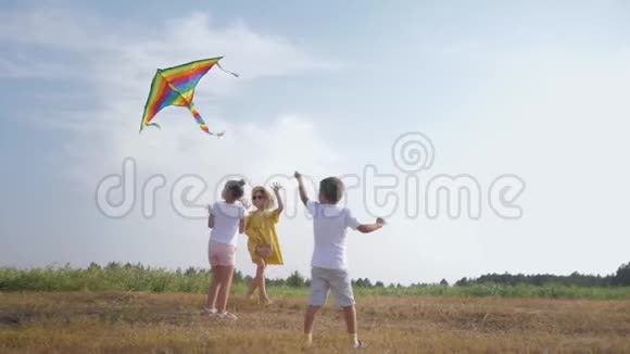 孩子们玩耍有趣的男孩和女孩在森林里玩风筝在夏季周末在农村对抗视频的预览图