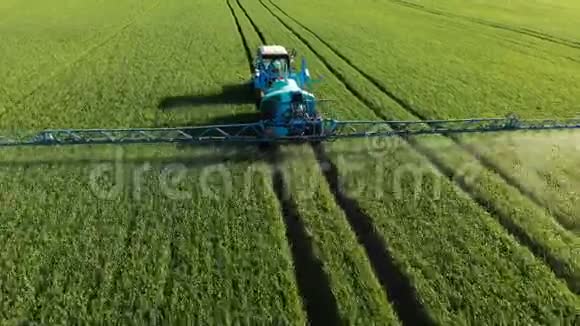 空中射击无人机蓝色拖拉机骑在绿色的田野上灌溉植物视频的预览图