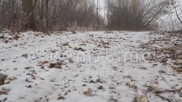 照相机在白雪覆盖的小径上滑行视频的预览图