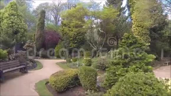 美丽的针叶树花园有盛开的树木和灌木视频的预览图