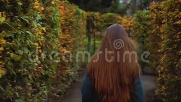 秋日美丽的女孩走在花园迷宫里视频的预览图