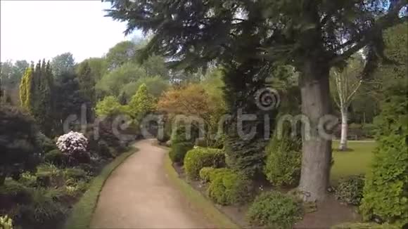 美丽的针叶树花园有盛开的树木和灌木视频的预览图