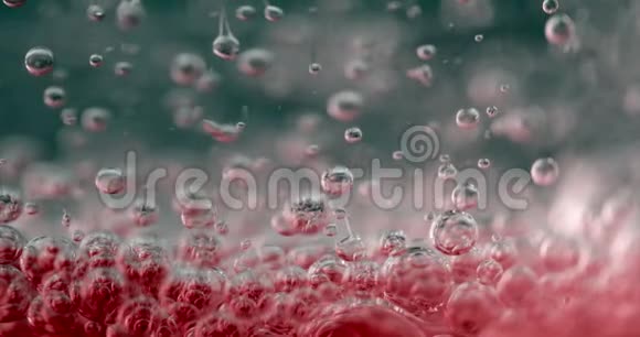 水中的紫色气泡液体中气泡的特写视频视频的预览图