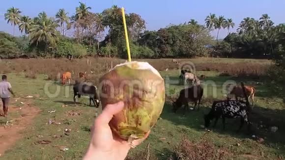 手捧着年轻的椰子水喝视频的预览图